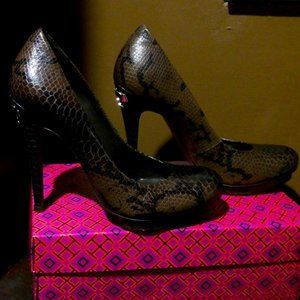 Tory Burch Jude Python Heels